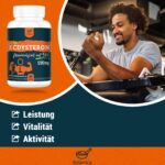 Solavica Beta-Ecdysteron 1200 mg – Trainings-Supplement mit 98 % Reinheit für Kraftsportler – Bild 2