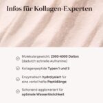 Glow25 Collagen Plus Pulver Strawberry 450g – Kollagen Hydrolysat mit Vitamin C & Biotin – Bild 8