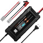 ECO-WORTHY 12V/24V 20A LiFePO4 Batterieladegerät – Intelligentes Multi-Current Schnellladegerät