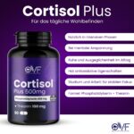 Phosphatidylserin 400 mg + L-Theanin 100 mg – 90 vegane Kapseln Made in Italy – Bild 2