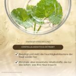 SKIN1004 Centella Asiatica Serum 100 ml – Beruhigendes Gesichtsserum für empfindliche Haut – Bild 7