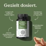 Nature Love Probiona PLUS – 120 Mrd KBE Probiotikum mit 20 Bakterienstämmen & Bio-Inulin – Bild 3