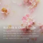 RITUALS Body Cream + Nachfüllung The Ritual of Sakura – Nährende Körperpflege mit Kirschblüte & Reismilch – Bild 4