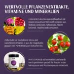 XbyX Phyto Power 90 g – Hormonelle Unterstützung in den Wechseljahren für Frauen ab 40 – Bild 4