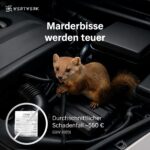 WERTWERK® Marderschreck mit Ultraschall & Lichtblitz – Marderabwehr für Auto & Haus – Bild 6