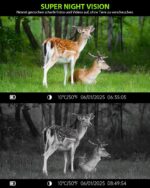 KJK Wildkamera 64MP 4K mit WLAN APP – Bewegungsmelder & Nachtsicht für Wildtierbeobachtung – Bild 3