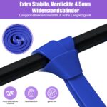 Fokky Widerstandsbänder Set 5er mit Türanker – Krafttraining für Anfänger bis Fortgeschrittene – Bild 4