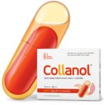 Collanol Gelenkkapsel mit 3D-Kollagen & Mizell-Curcuma – Gelenk- & Knochenpflege (20er)