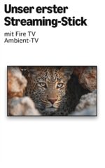 Amazon Fire TV Stick 4K Max – 4K Streaming mit Wi-Fi 6E, Ambient-TV & Alexa – Bild 7