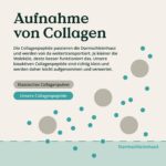 Nature Love Premium Collagen Pulver 500g – Typ 1 & 3 mit Hyaluronsäure & Elastin – Bild 4