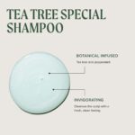Paul Mitchell Tea Tree Special Shampoo 1000 ml – Reinigendes Shampoo für alle Haartypen – Bild 8