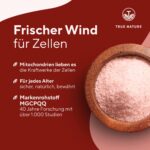 PQQ Pyrrolochinolinchinon 20 mg – 60 Kapseln Hochdosiert mit MGCPQQ® für Zellenergie – Bild 3