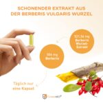 FürstenMED® Berberin Kapseln 506mg – Hochdosiert aus reinem Berberis Vulgaris für optimales Wohlbefinden – Bild 2