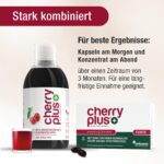Cherry PLUS Forte – Montmorency Sauerkirschen Kapseln hochdosiert mit 43 mg Polyphenolen – Bild 8