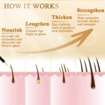 Recuren Plus Wimpernserum mit Peptiden & Biotin – Natürliches Wimpernwachstum ohne Hormone – Bild 5