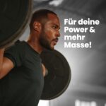 Mammut Nutrition Crash Weight Gainer 4,5 kg Vanilla – 1036 kcal pro 2 Shakes – Bild 7