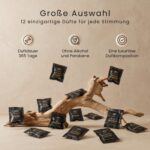 Aromatic •89• Autoparfüm Set 12 Monate – Premium Lufterfrischer Auto mit Metallclip – Bild 5