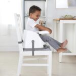 Ingenuity 2-in-1 Sitzerhöhung mit abnehmbarem Tablett – Babysitz & Kleinkindersitz ab 6 Monaten – Bild 2