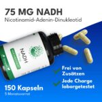 GREEN NATURALS NADH 75 mg – 150 Kapseln | Hochdosiertes Coenzym 1 für Energie & Vitalität – Bild 2