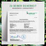 NATURTREU Greens Pulver 300g – Superfood Mix mit Weizengras & Spirulina für tägliche Vitalität – Bild 6