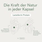 Lactoferrin 250 mg – Hochdosiertes Immunprotein aus Milch, 60 Kapseln, Made in Germany – Bild 8