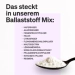natural elements Ballaststoff Mix 600g – 9 natürliche Quellen mit Inulin & Akazienfaser – Bild 4