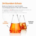 Licur 7000 – Mizellares Curcumin mit 185x Bioverfügbarkeit & Vitamin D3 – 60 Kapseln – Bild 6