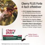 Cherry PLUS Forte – Montmorency Sauerkirschen Kapseln hochdosiert mit 43 mg Polyphenolen – Bild 3