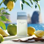 100 ml Dolce & Gabbana Light Blue Eau de Toilette – Floraler Damenduft mit Zitrone, Jasmin & Weisser Rose – Bild 3