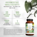 NATURTREU Kulturen Komplex – 23 Bakterienstämme, magensaftresistent & vegan – 2er Bundle – Bild 2