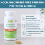 Berberin Phytosom 550mg mit Chrom – 10x höhere Absorption für Blutzuckerregulation, vegan, 60 Kapseln – Bild 2