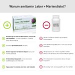 amitamin Leber + Mariendistel Komplex – 120 vegane Kapseln mit Silymarin & Cholin – Bild 3