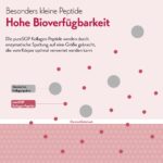 pureSGP® Kollagen 3x300g – Bioaktive Peptide mit Vitamin C & Biotin für Haut & Haare – Bild 8