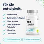 OPC Traubenkernextrakt 360 Kapseln mit Vitamin C – Zellschutz & Immunabwehr für 6 Monate – Bild 5