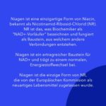 TRU NIAGEN 300mg NAD+ Vorstufe – 90 vegetarische Kapseln für Energie & Zellvitalität – Bild 5