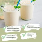 HANS Brainfood 1kg Bio Erbsenprotein 90% – Veganes Proteinpulver mit Optimalem Aminosäureprofil – Bild 3
