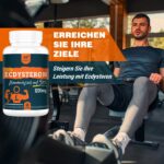 Solavica Beta-Ecdysteron 1200 mg – Trainings-Supplement mit 98 % Reinheit für Kraftsportler – Bild 4