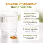 Bio Kurkuma Kapseln Phytholistic – 300 mg Curcuminoide – 40x höhere Bioverfügbarkeit – Bild 3