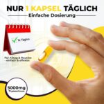 BIO Schwarzkümmelöl Kapseln hochdosiert – 5000 mg Thymochinon, 60 vegane Kapseln – Bild 3