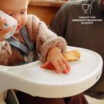 Kinderkraft DINNLY Hochstuhl – Kombihochstuhl mit Sicherheitsgurten für Babys ab 6 Monaten – Bild 9