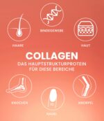 Purefitness VERISOL® Collagen Pulver 600g – Beauty-Formel mit Hyaluron & Biotin – Bild 7
