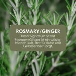 Jean & Len Hand & Body Wash Rosemary & Ginger – 5L Nachfüllkanister – Bild 6