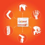 Collanol Gelenkkapsel mit 3D-Kollagen & Mizell-Curcuma – Gelenk- & Knochenpflege (20er) – Bild 2