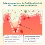 Butyzol Natriumbutyrat 60 Kapseln – Klinisch getestetes Darmmanagement für entzündliche Erkrankungen – Bild 5