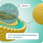 Butyzol Natriumbutyrat 60 Kapseln – Klinisch getestetes Darmmanagement für entzündliche Erkrankungen – Bild 9
