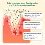 Butyzol Natriumbutyrat 60 Kapseln – Klinisch getestetes Darmmanagement für entzündliche Erkrankungen – Bild 6