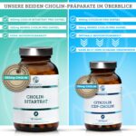 QIDOSHA CDP Cholin 250mg Kapseln – 180er Apothekerglas, vegan & deutsche Fertigung – Bild 8