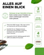 Vit4ever Grünlippmuschel 365 Kapseln à 600 mg – Hochdosiert mit natürlichen Glycosaminoglykanen – Bild 4