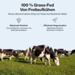 Vilgain Grass-Fed Whey Protein 1000g Vanille – Naturreines Eiweisskonzentrat ohne Zuckerzusatz – Bild 12