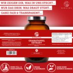 QIDOSHA Granatapfel Extrakt Kapseln hochdosiert – 70% Ellagsäure, 180 Stk, deutsche Fertigung – Bild 4